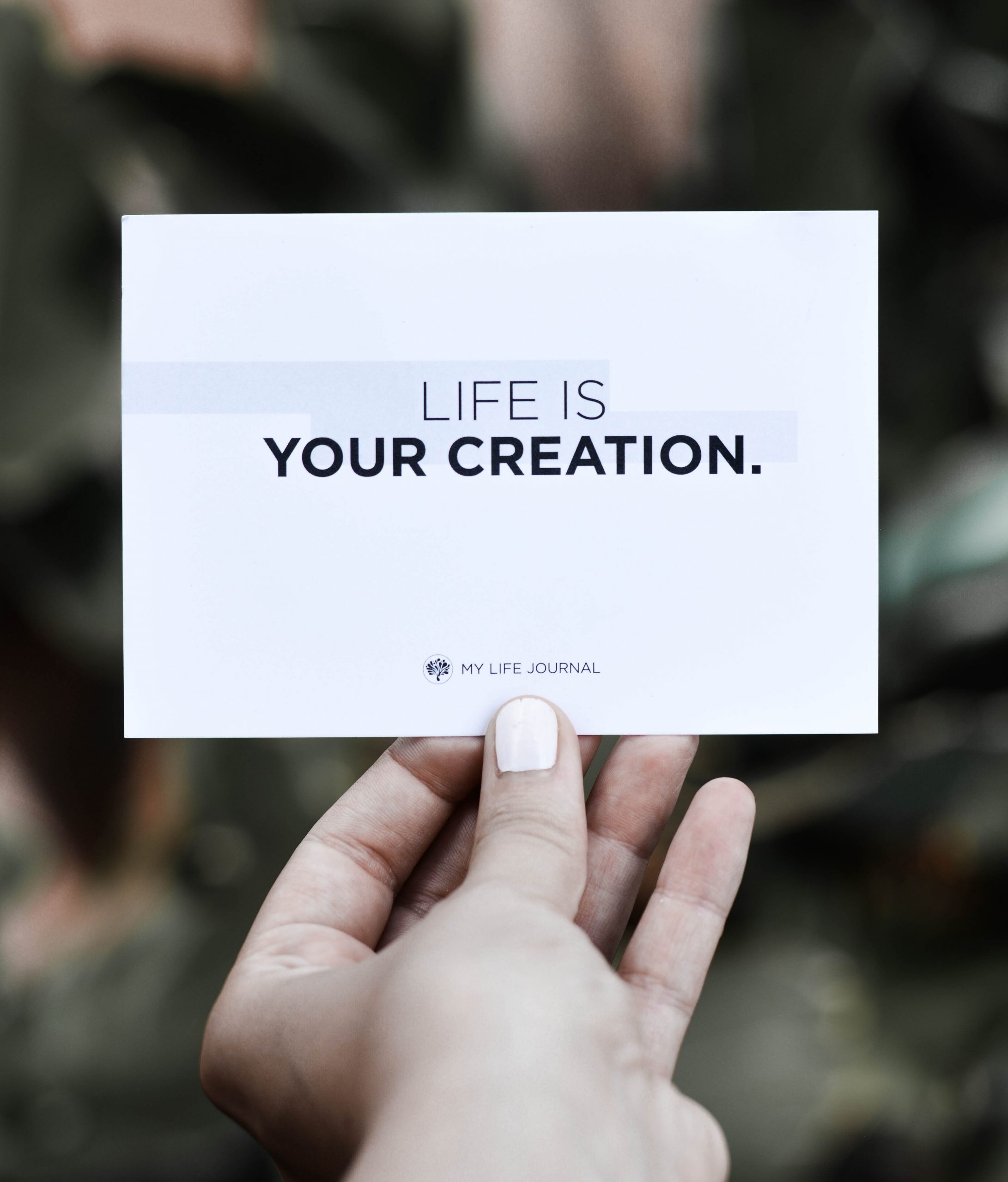 life is your creation